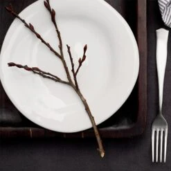 Forma Cloud Dinner Plate -Famous Cutlery Store FOM 1100CL LSALT 1 1800x1800