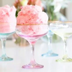 Rainbow Coupe Champagne Glass -Famous Cutlery Store VBOW G52151 LSALT 1 1800x1800