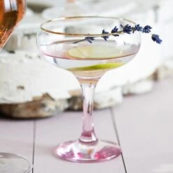 Rainbow Coupe Champagne Glass -Famous Cutlery Store VBOW P52151 2100 web7 1800x1800