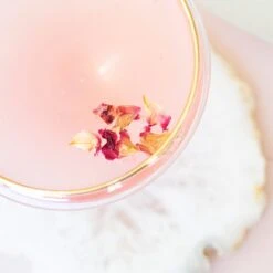 Rainbow Coupe Champagne Glass -Famous Cutlery Store VBOW P52151 LSALT 2 1800x1800